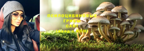герыч Алексин