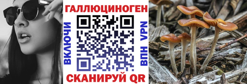 Галлюциногенные грибы Magic Shrooms  купить   Домодедово 