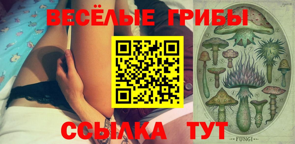 Псилоцибиновые грибы GOLDEN TEACHER  Галлюциногенные грибы GOLDEN TEACHER  Вход с VPN  Домодедово 